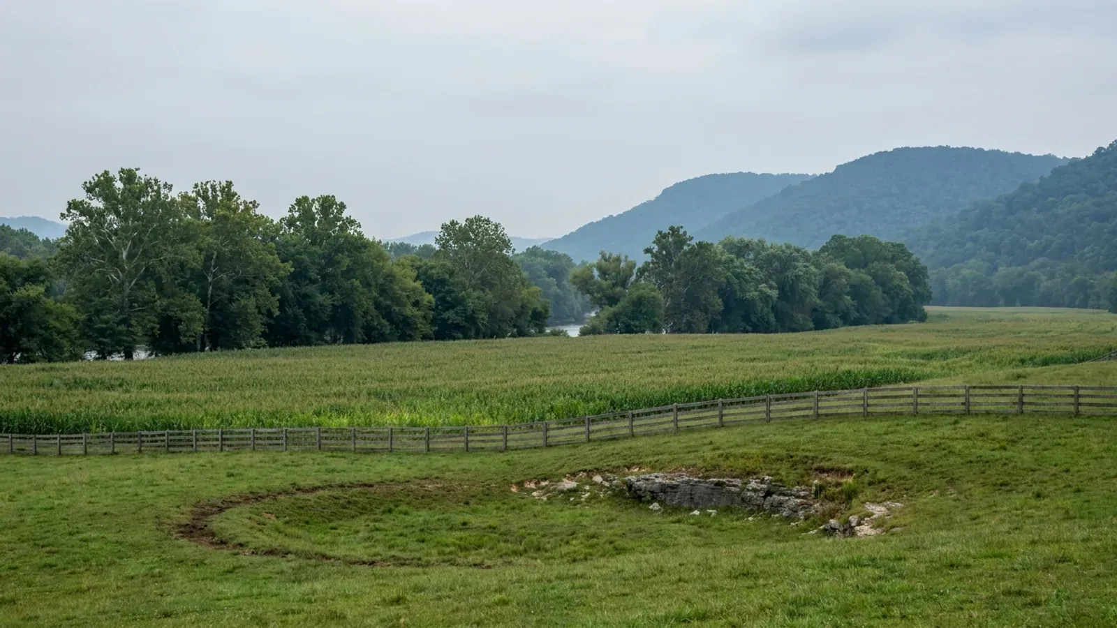 Flat bottomland fields with a line of sycamores marking the river and wooded knobs rising behind rolling limestone pasture.