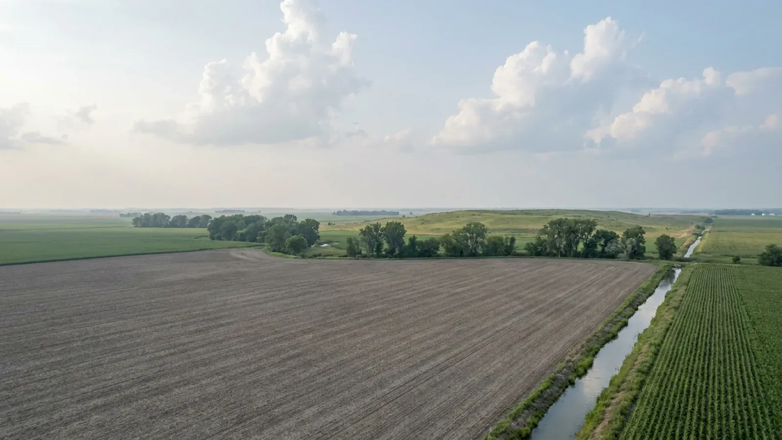 Very large flat river-bottom crop fields with a straight drainage ditch and tall cottonwoods marking a slough.